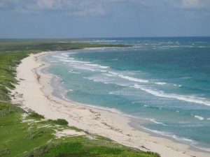 Cozumel Beach