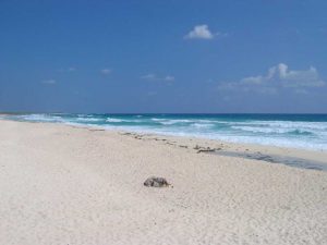 Cozumel Beach