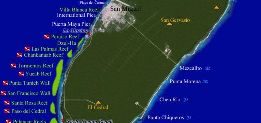 Cozumel Diving - Beach Areas