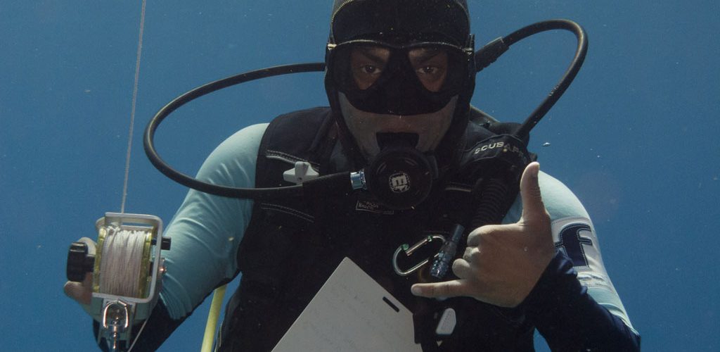 PADI Open Water Diver