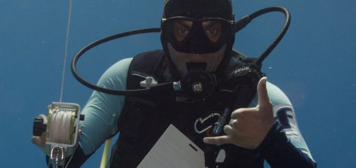 PADI Open Water Diver